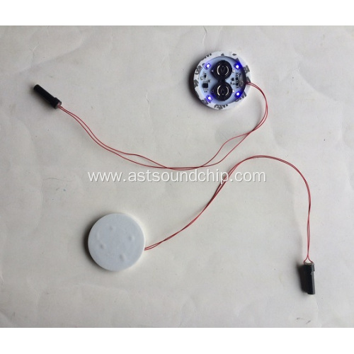 LED Flash Modules,POP Display Flasher, LED Flashing Light, LED Light Module